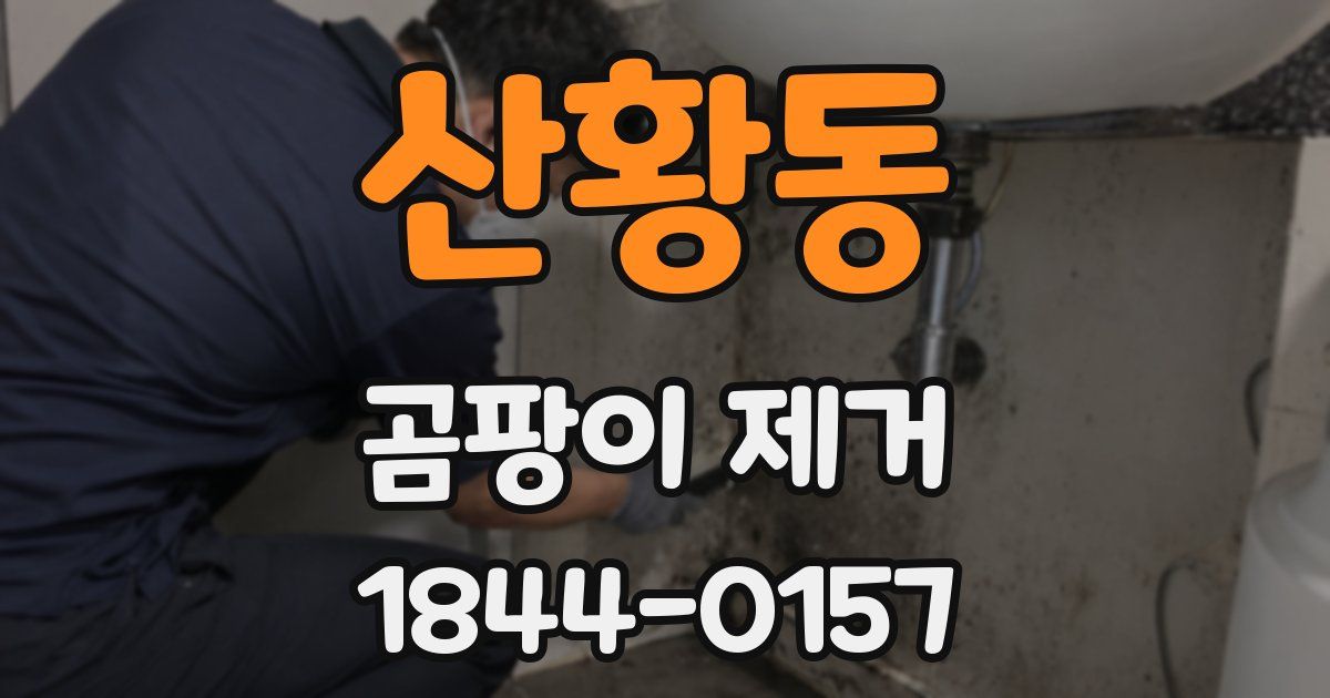 산황동 곰팡이 제거