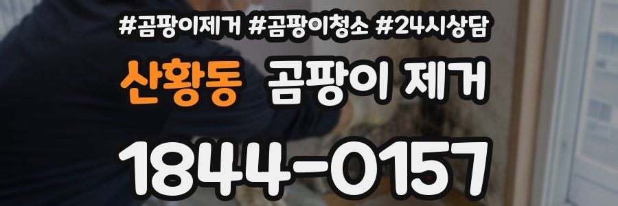 산황동 곰팡이 제거