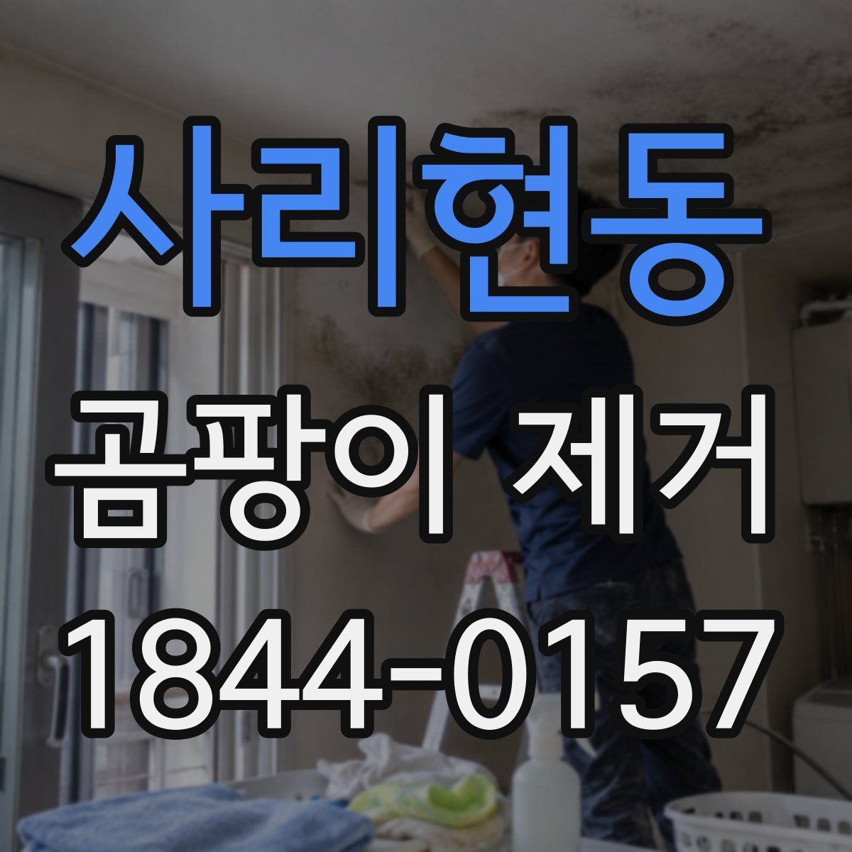 사리현동 곰팡이 제거
