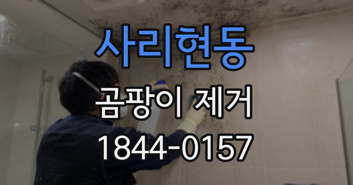 사리현동 곰팡이 제거