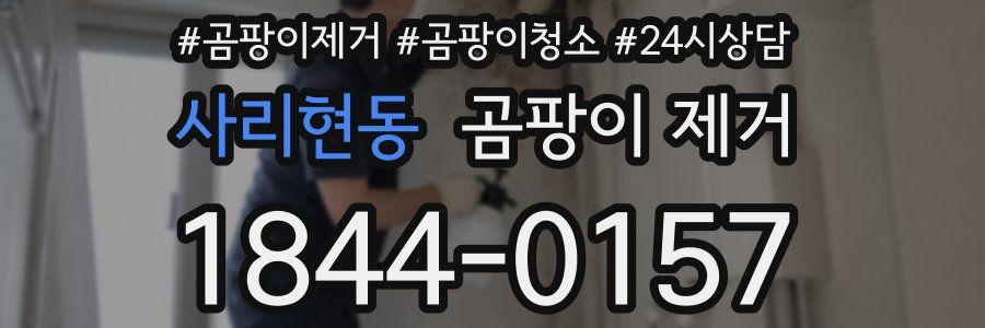 사리현동 곰팡이 제거