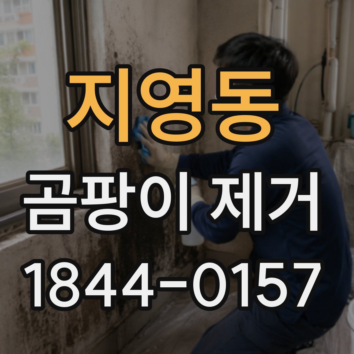 지영동 곰팡이 제거