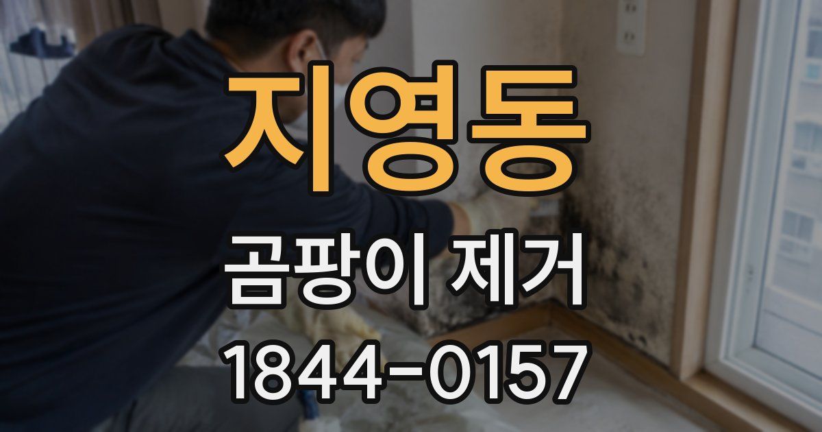 지영동 곰팡이 제거