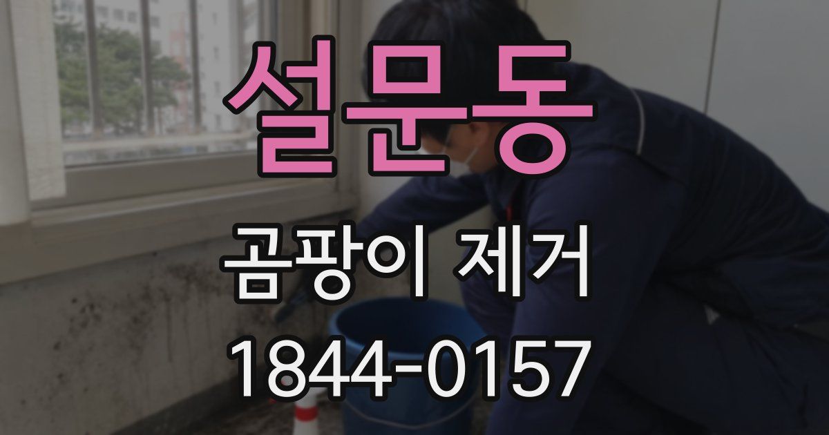 설문동 곰팡이 제거