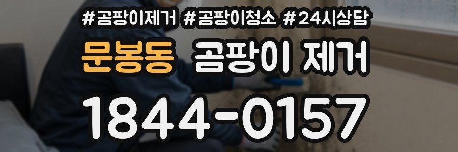 문봉동 곰팡이 제거