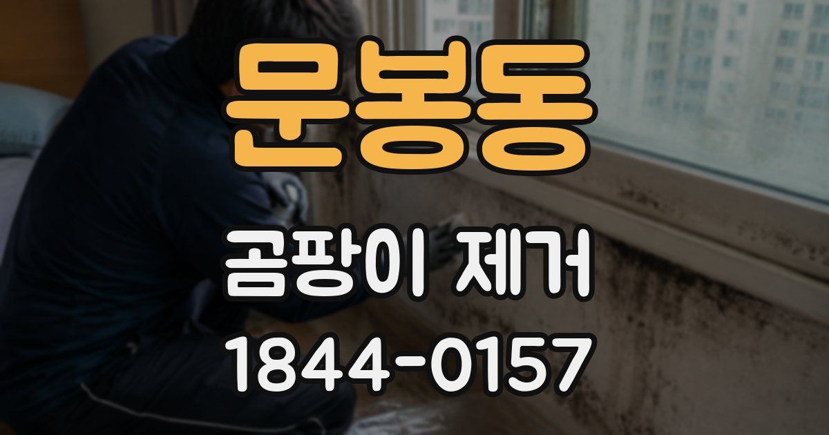 문봉동 곰팡이 제거