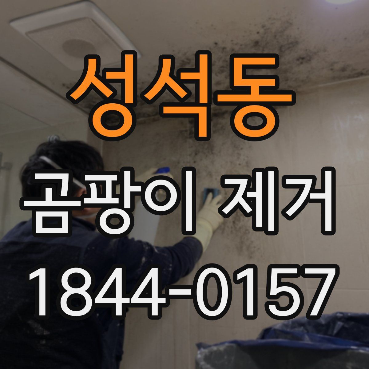 성석동 곰팡이 제거