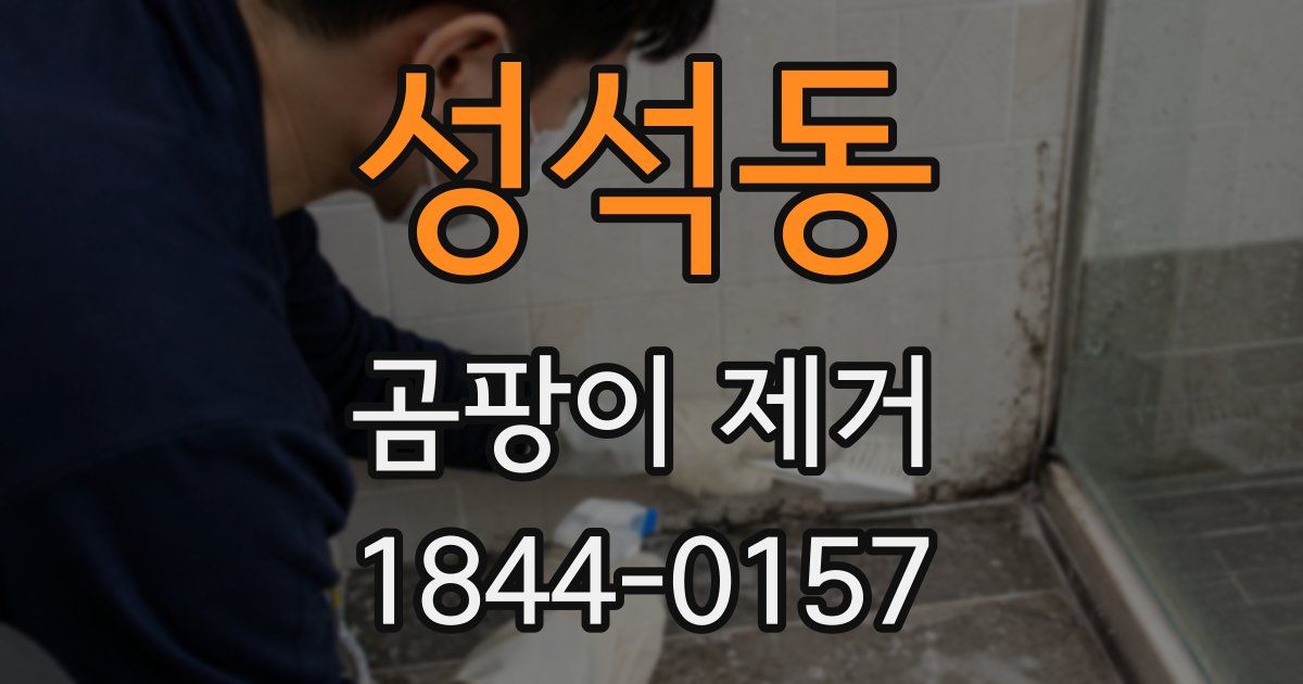 성석동 곰팡이 제거