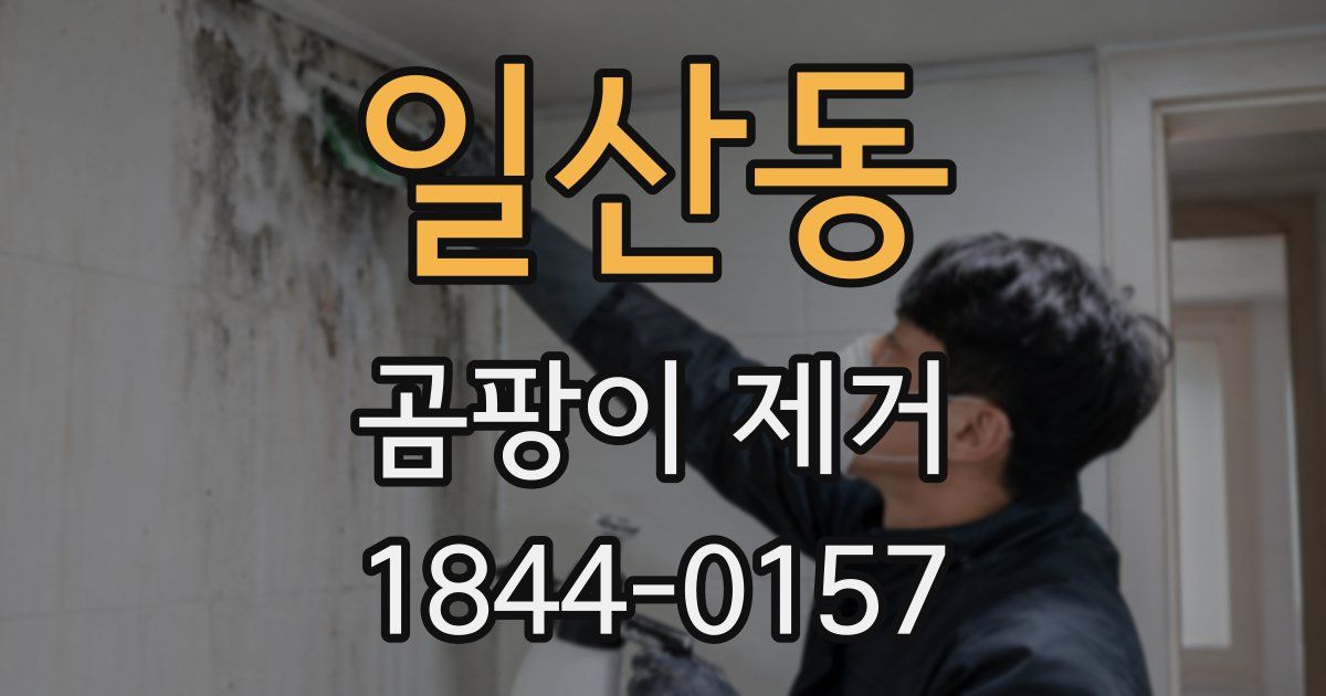 일산동 곰팡이 제거