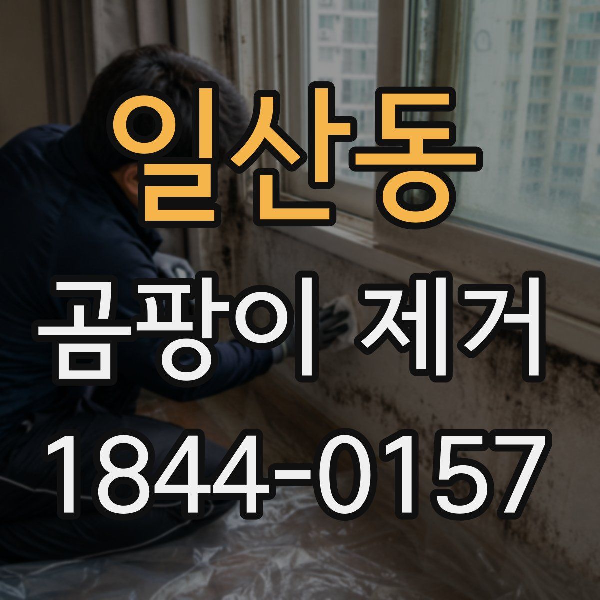 일산동 곰팡이 제거