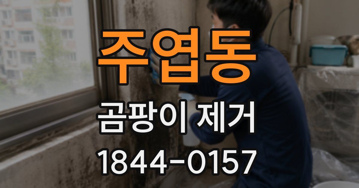 주엽동 곰팡이 제거