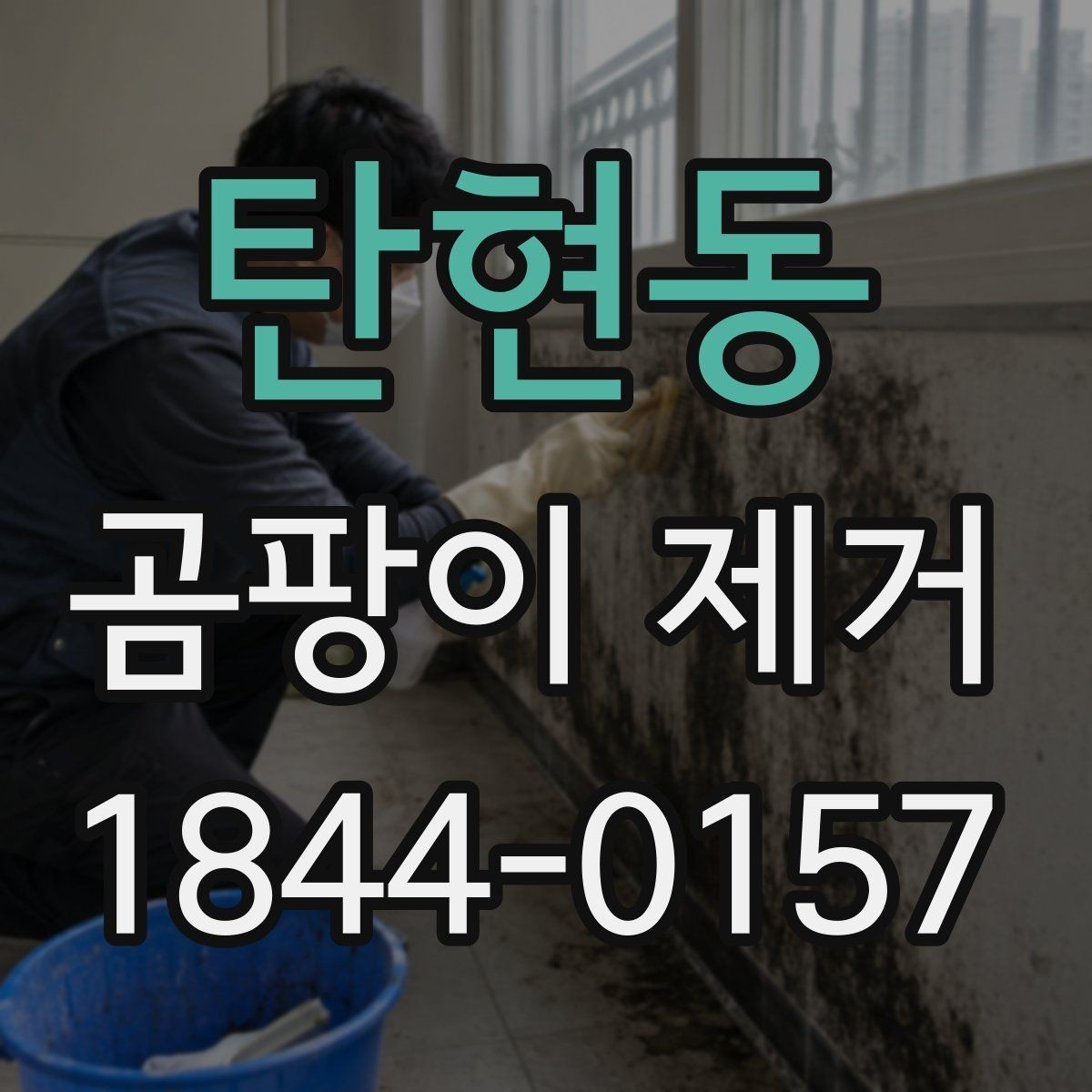 탄현동 곰팡이 제거 후 실내 공기 깔끔하게 유지하는 방법