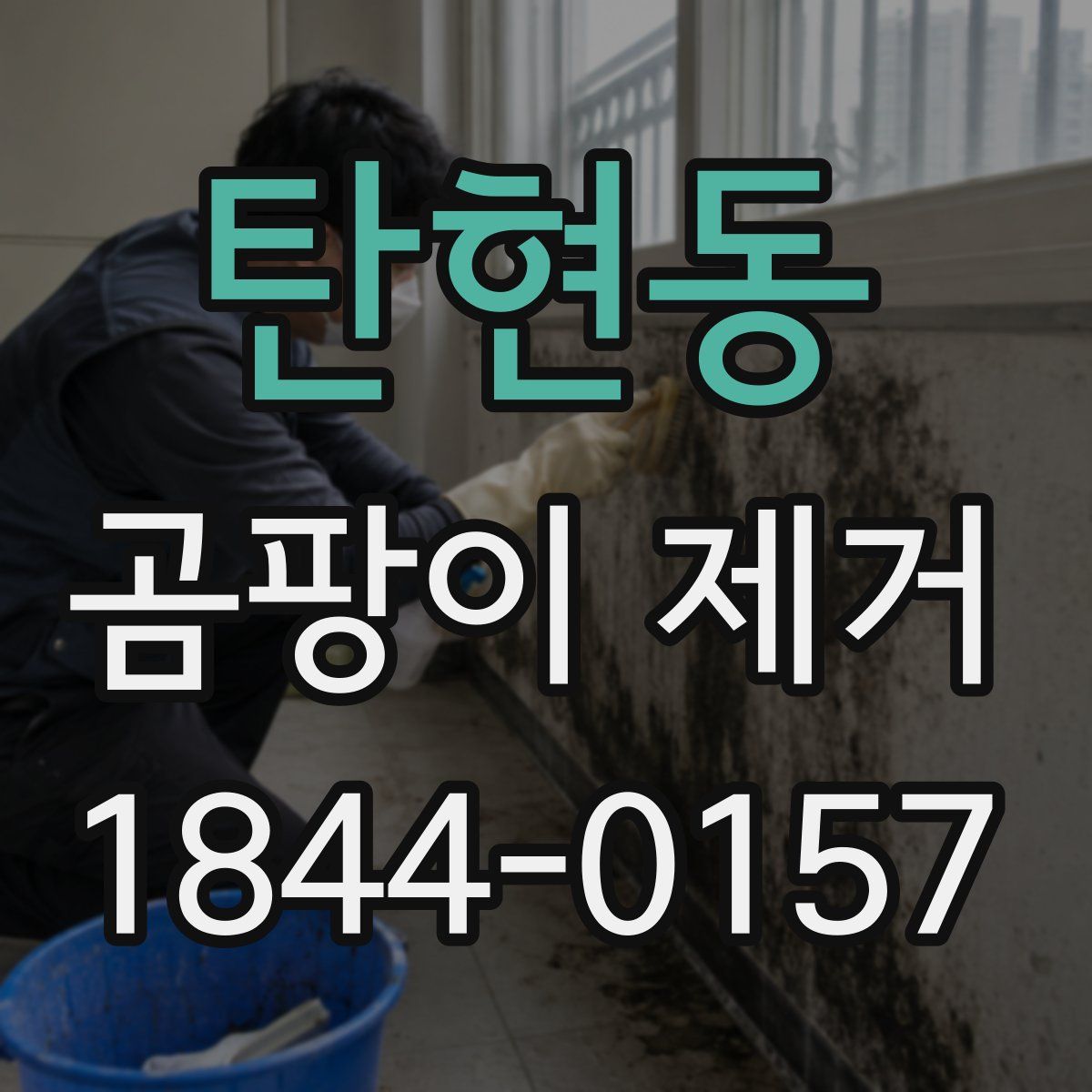 탄현동 곰팡이 제거