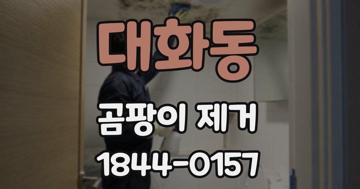 대화동 곰팡이 제거