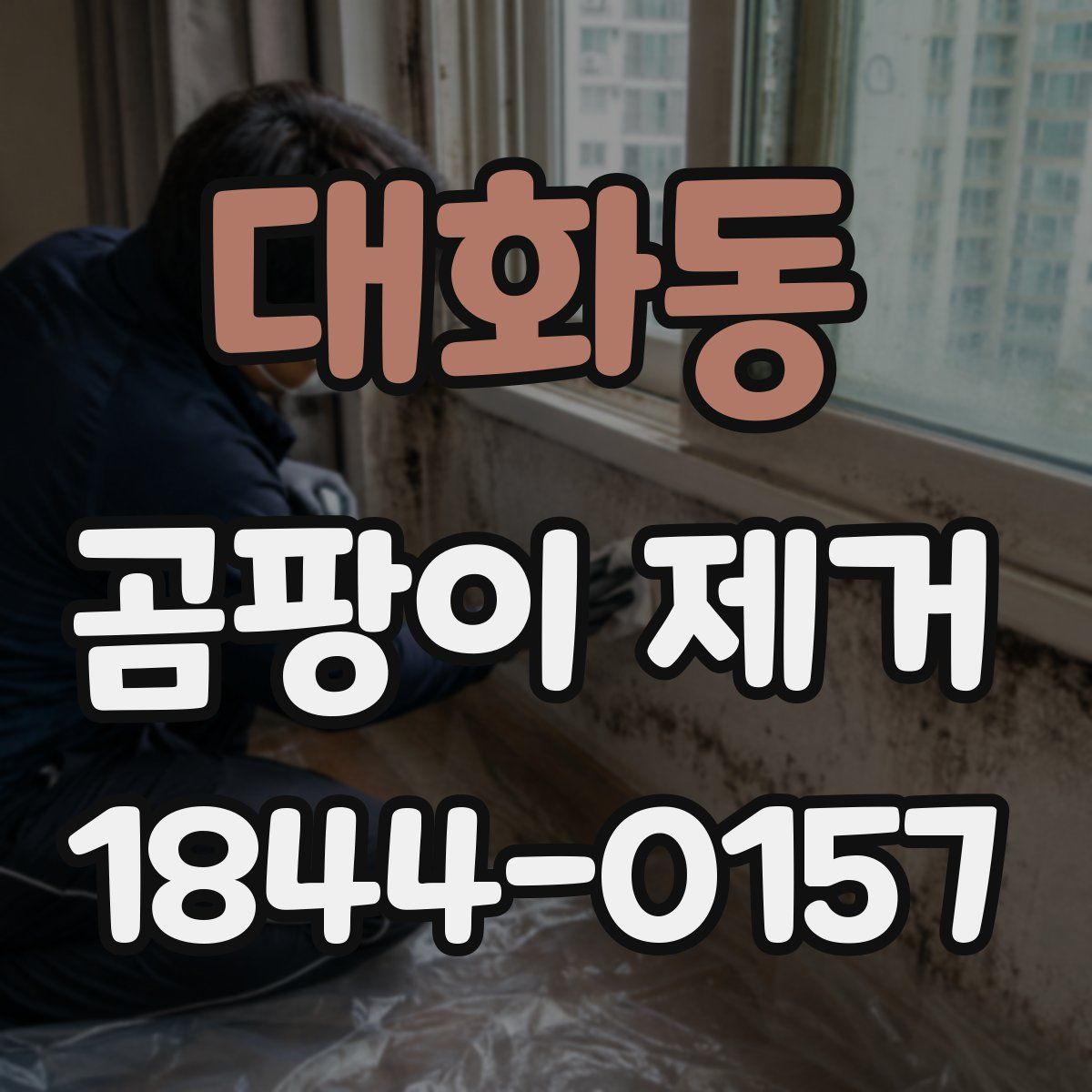 대화동 곰팡이 제거