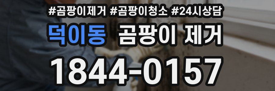 덕이동 곰팡이 제거