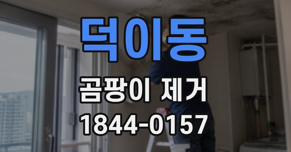 덕이동 곰팡이 제거
