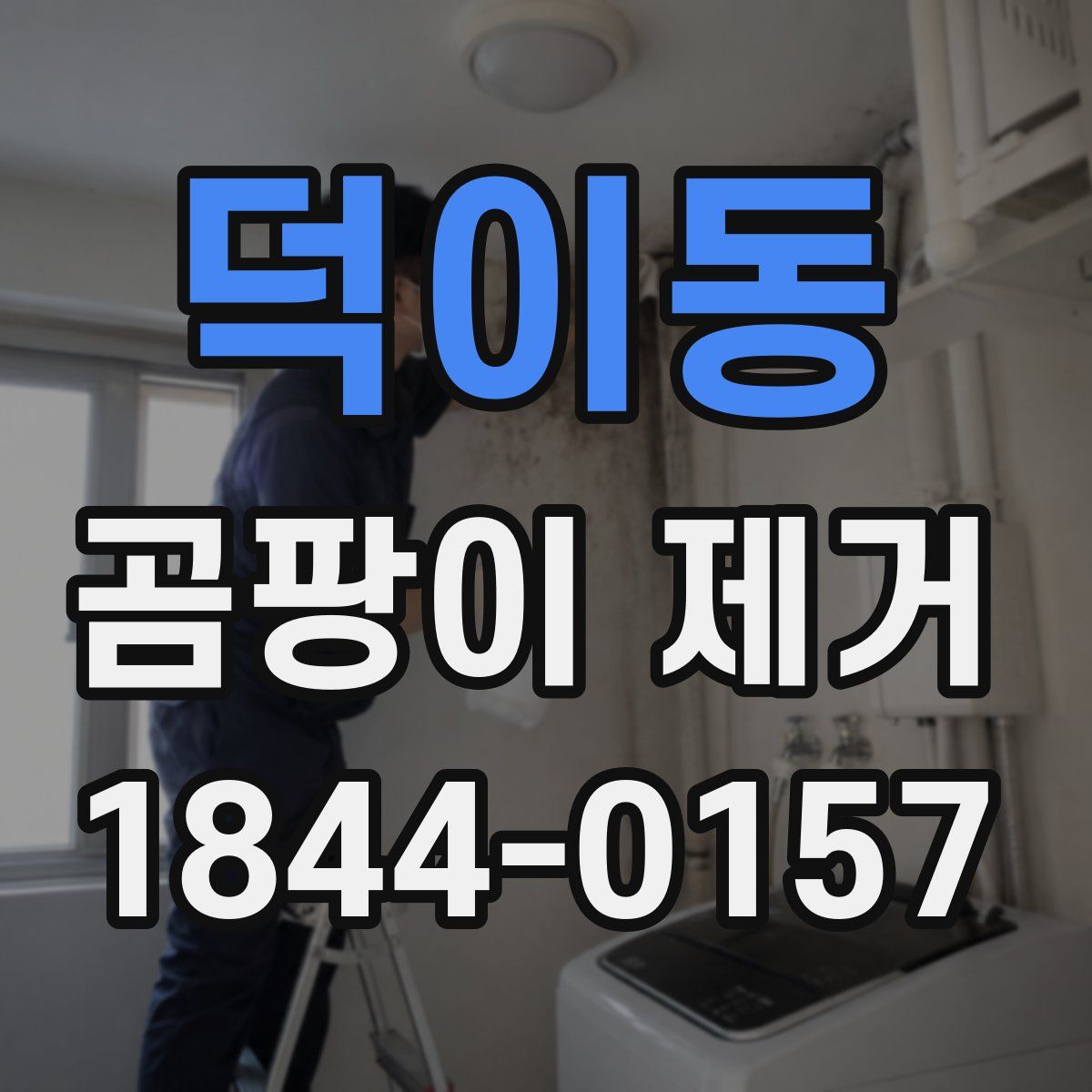 덕이동 곰팡이 제거