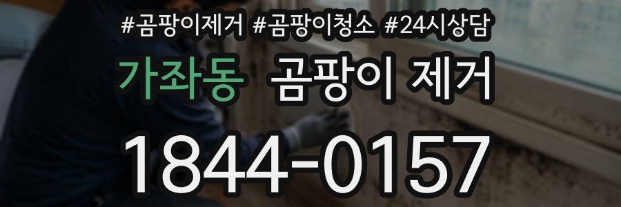 가좌동 곰팡이 제거