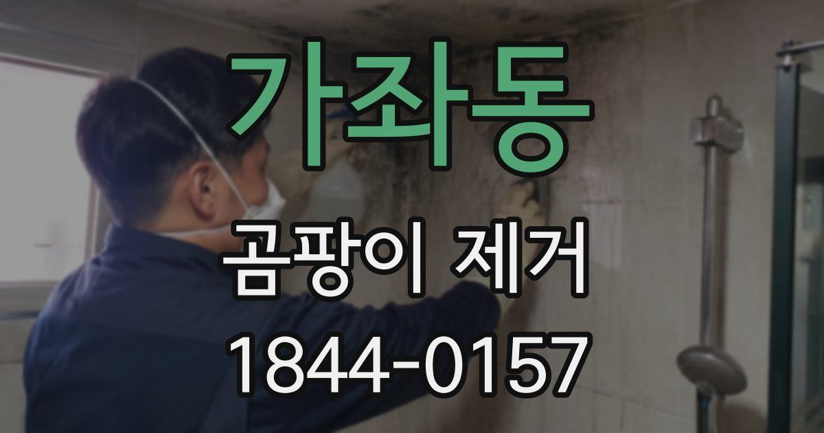 가좌동 곰팡이 제거