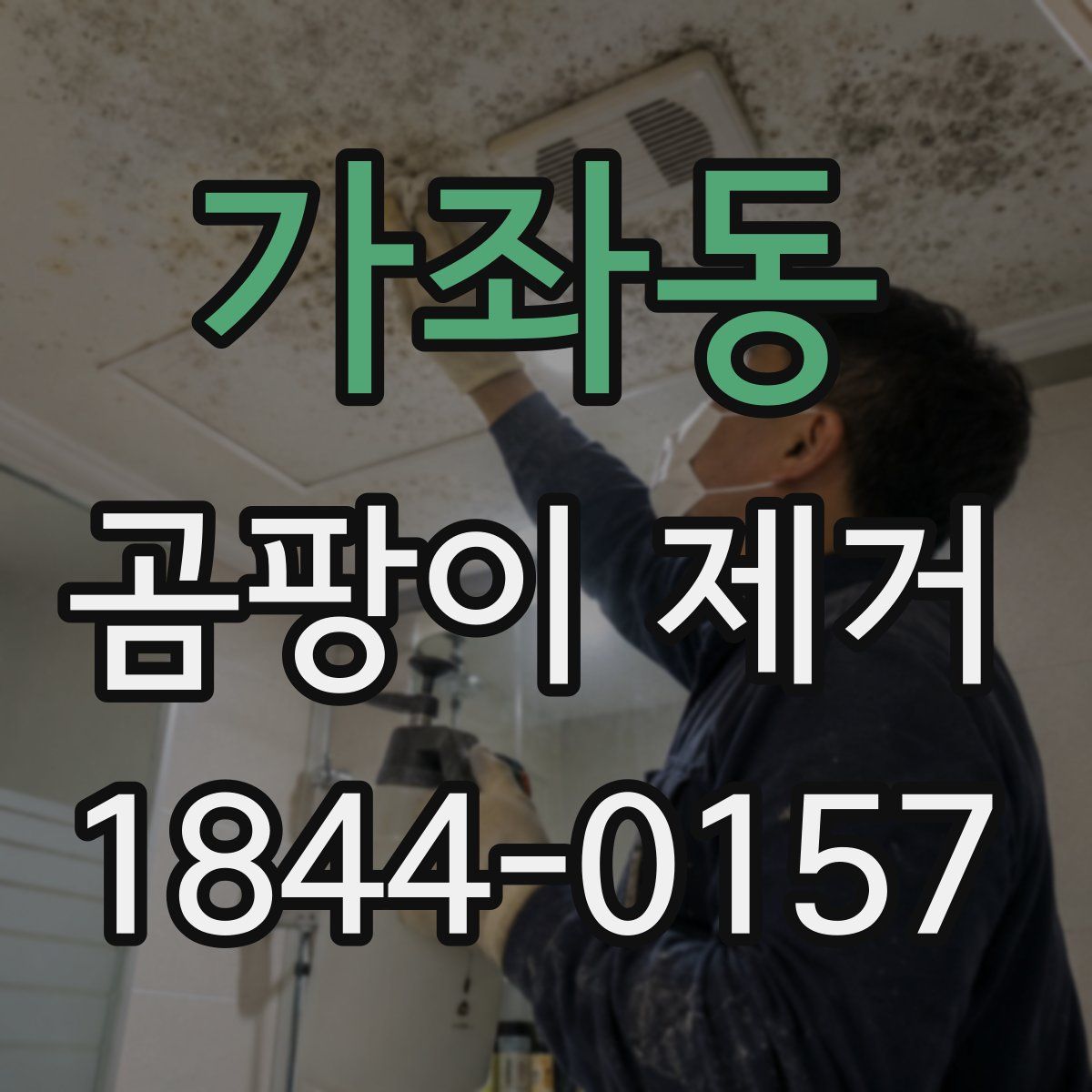 가좌동 곰팡이 제거
