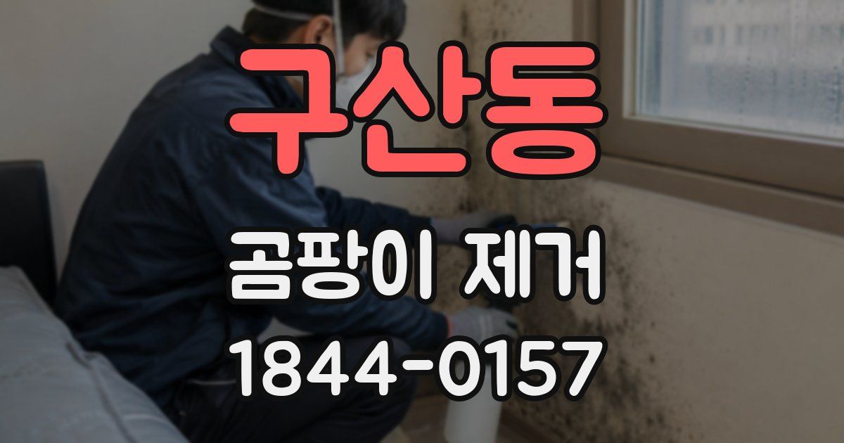 구산동 곰팡이 제거