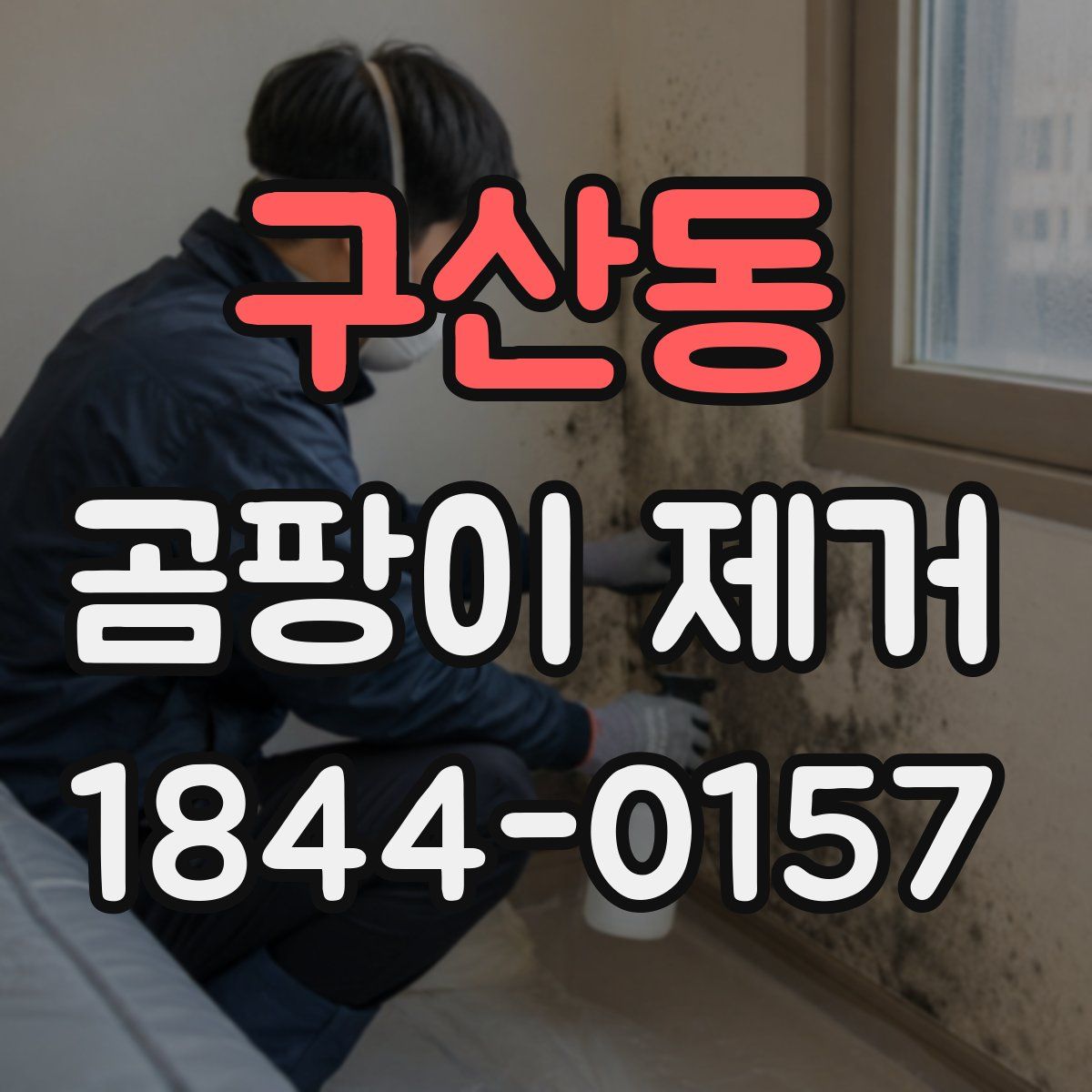 구산동 곰팡이 제거