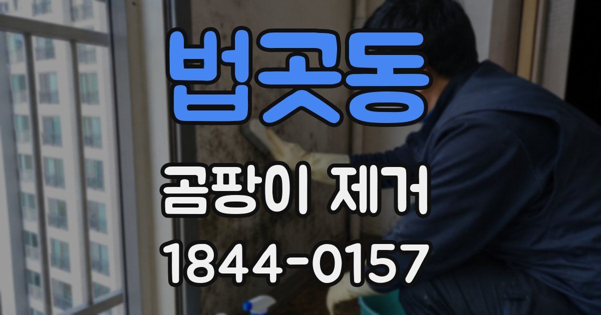 법곳동 곰팡이 제거