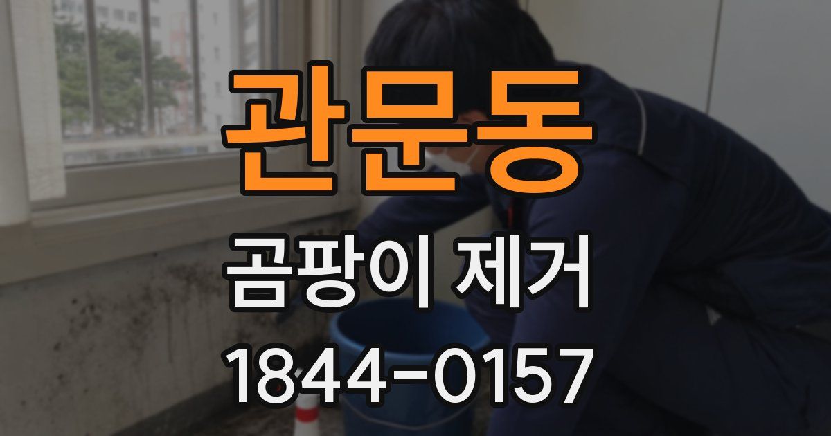 관문동 곰팡이 제거