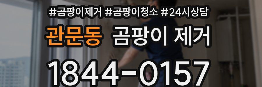 관문동 곰팡이 제거