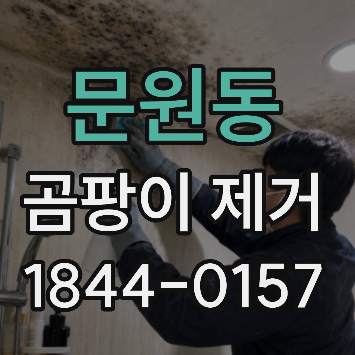 문원동 곰팡이 제거