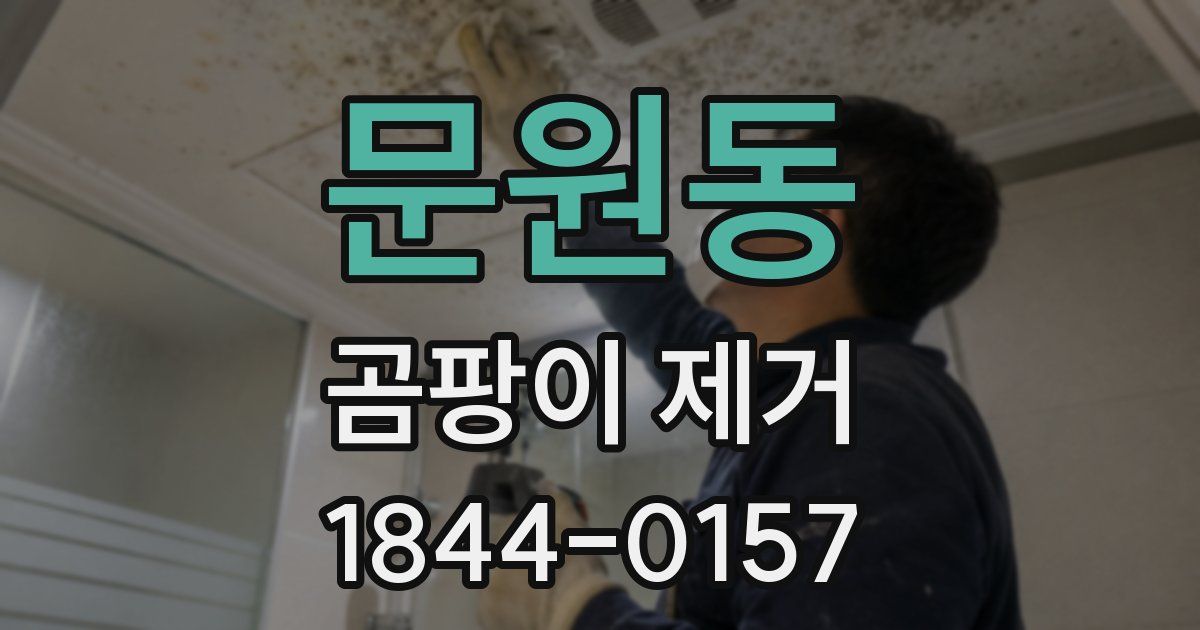 문원동 곰팡이 제거