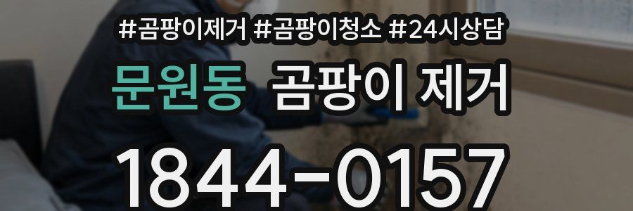 문원동 곰팡이 제거