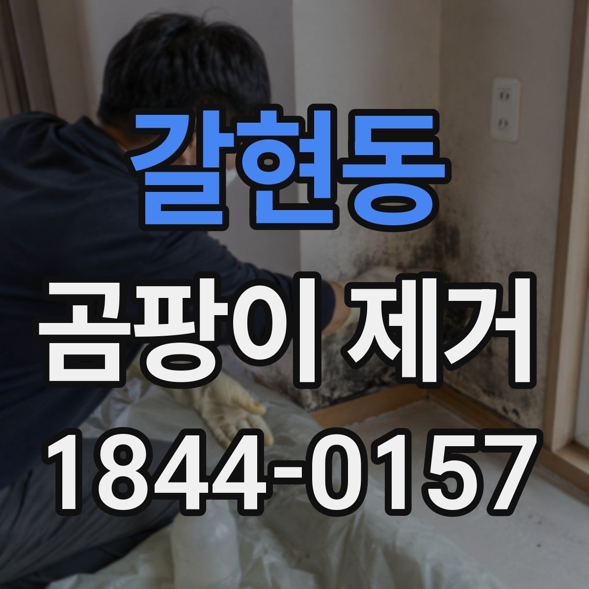 갈현동 곰팡이 제거