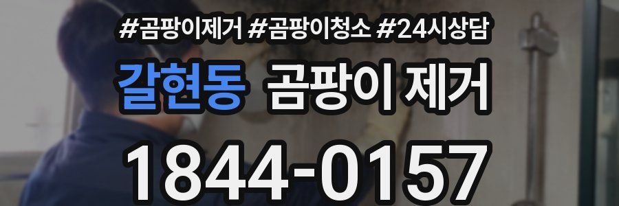 갈현동 곰팡이 제거