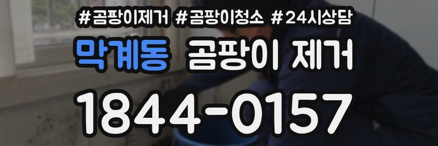 막계동 곰팡이 제거