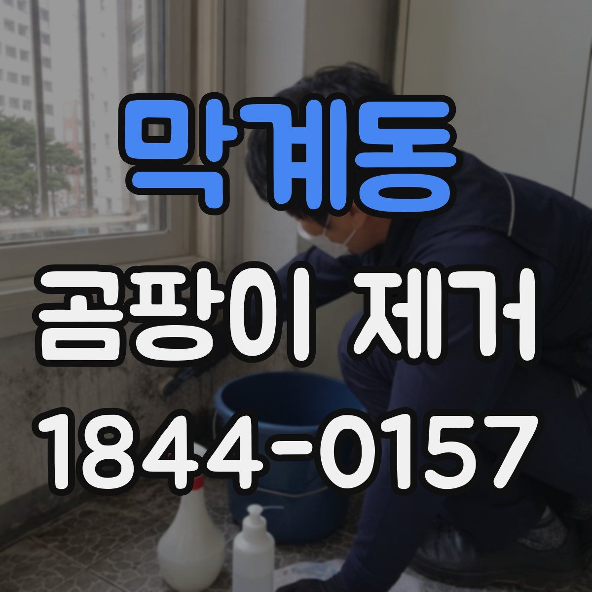 막계동 곰팡이 제거