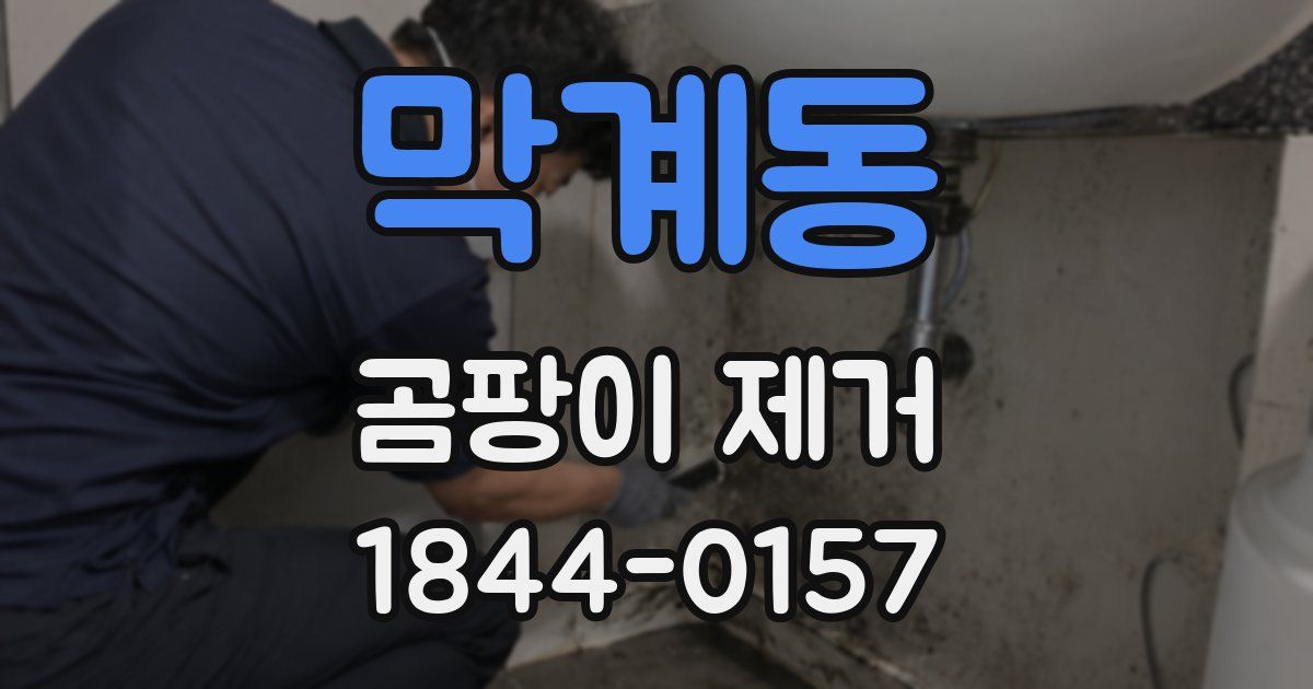 막계동 곰팡이 제거
