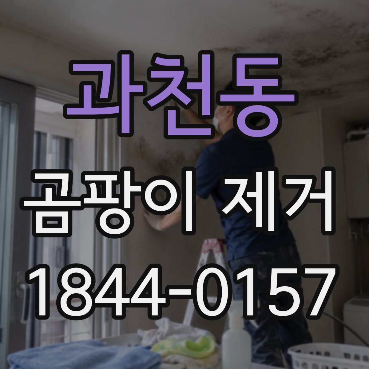 과천동 곰팡이 제거