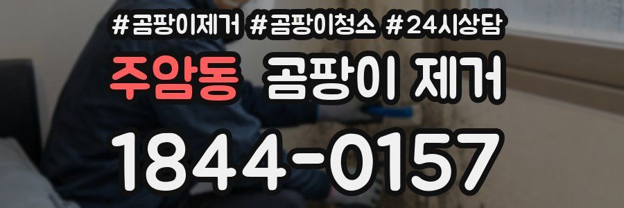 주암동 곰팡이 제거