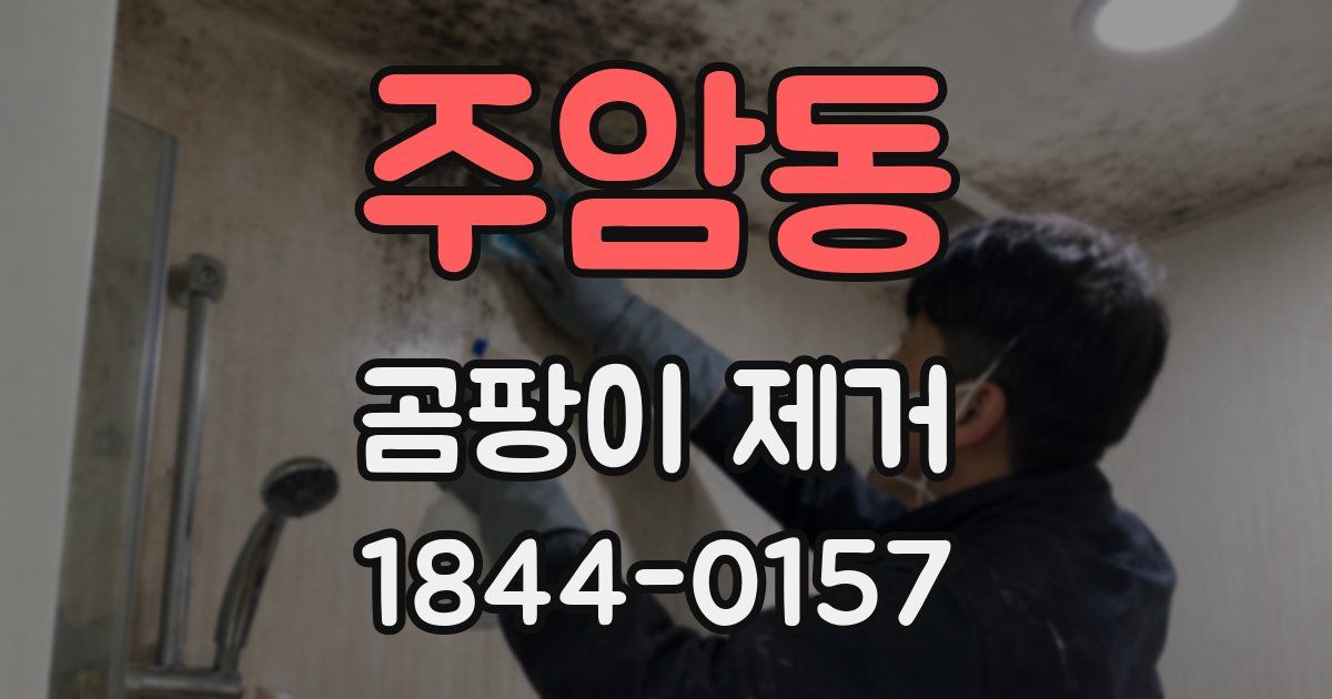 주암동 곰팡이 제거