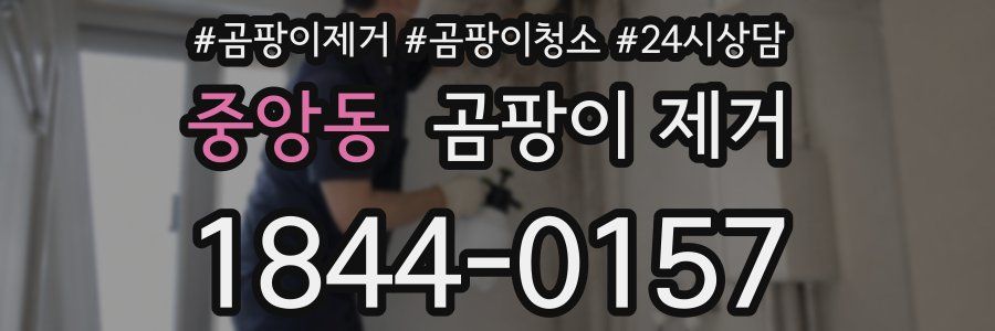 중앙동 곰팡이 제거