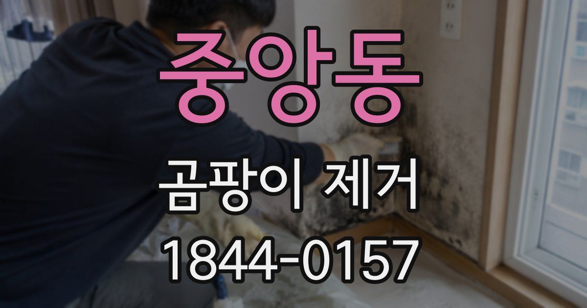 중앙동 곰팡이 제거