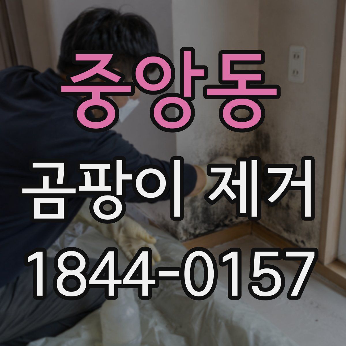 중앙동 곰팡이 제거