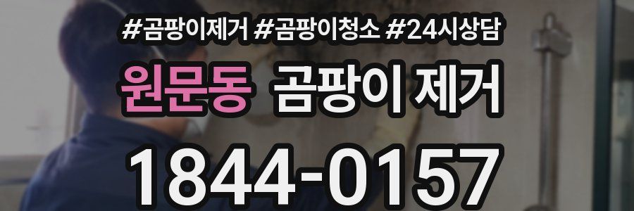 원문동 곰팡이 제거