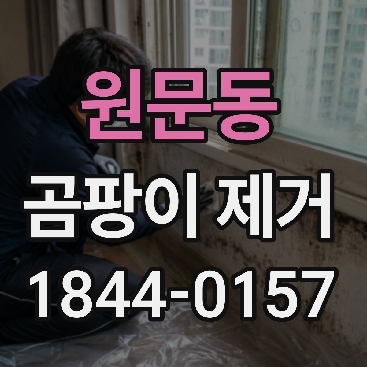 원문동 곰팡이 제거