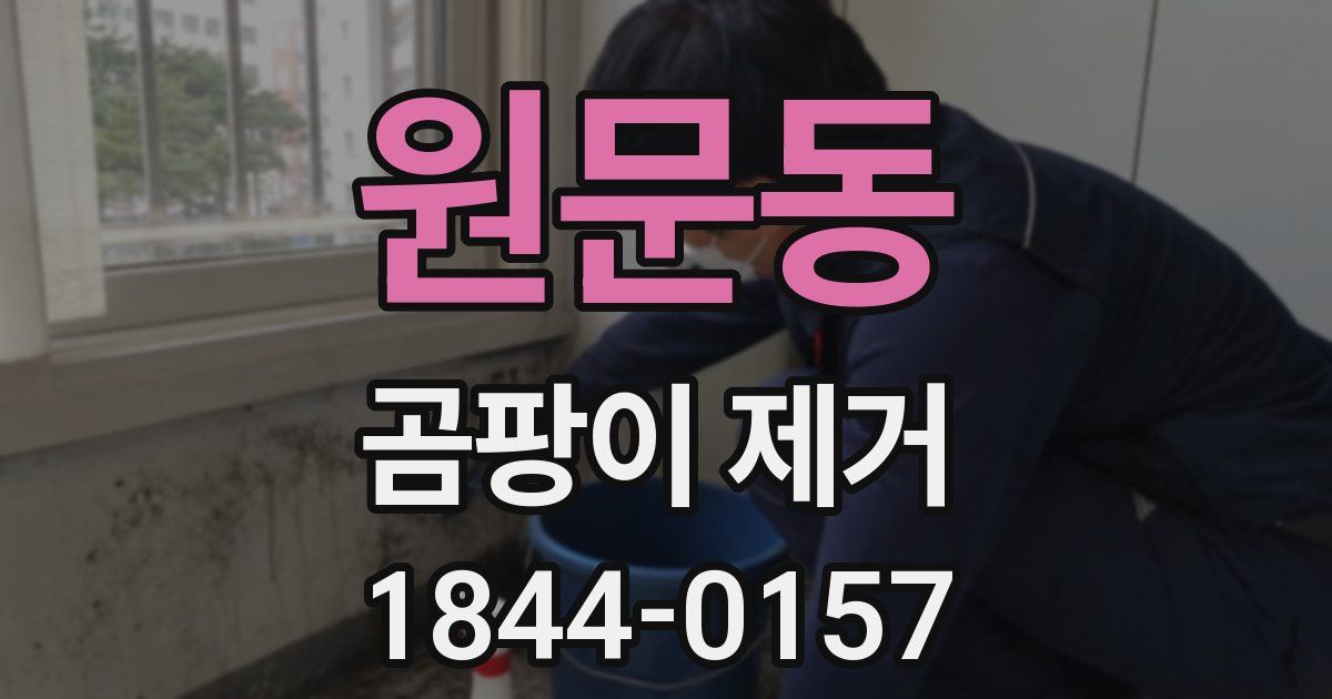 원문동 곰팡이 제거