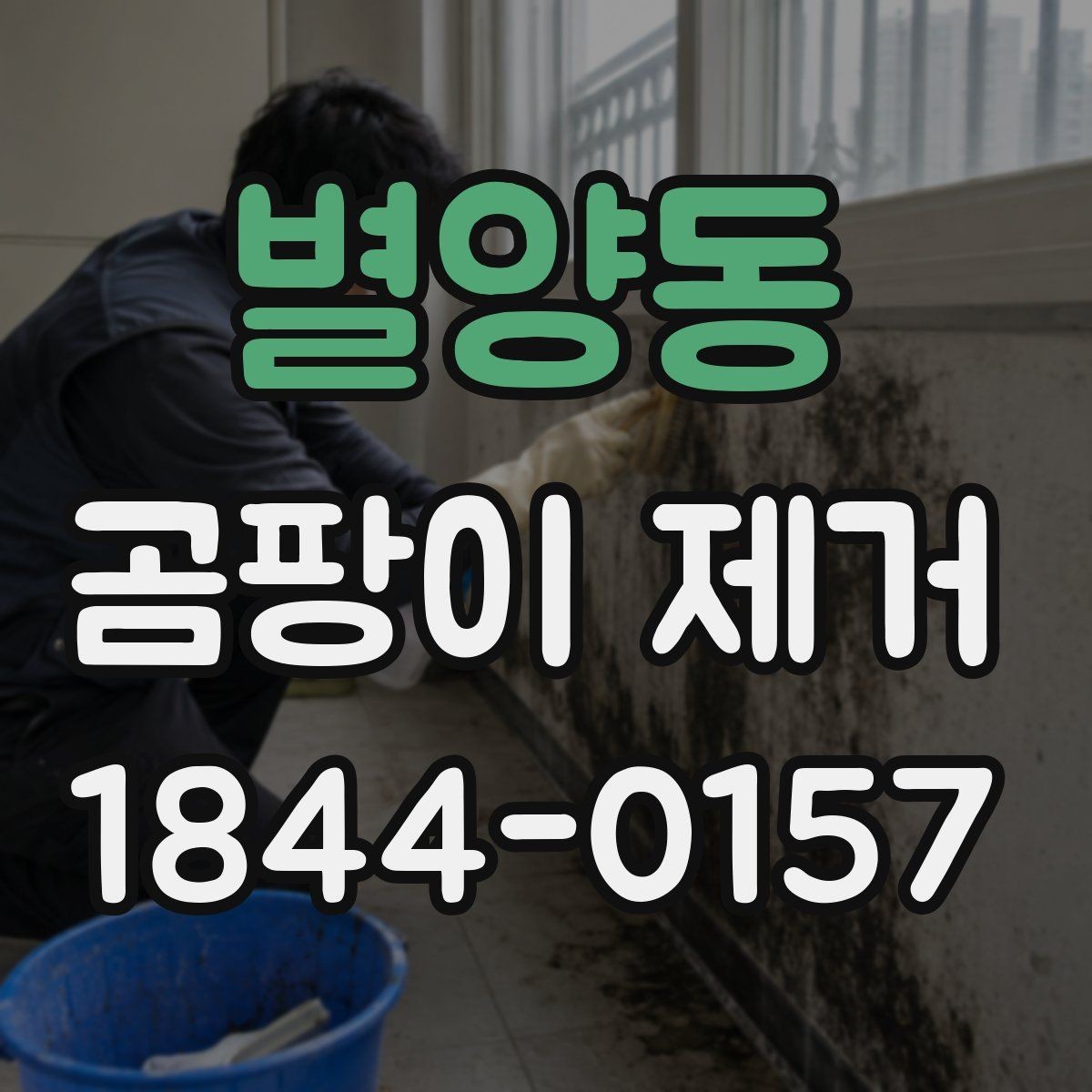 별양동 곰팡이 제거 장마철 재발을 줄이는 관리 습관