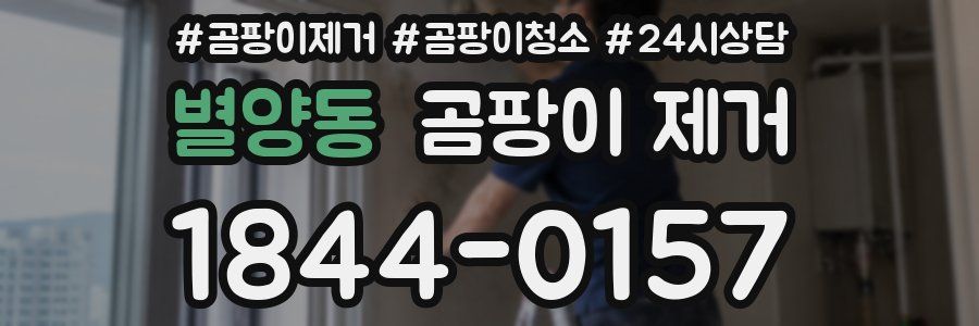 별양동 곰팡이 제거