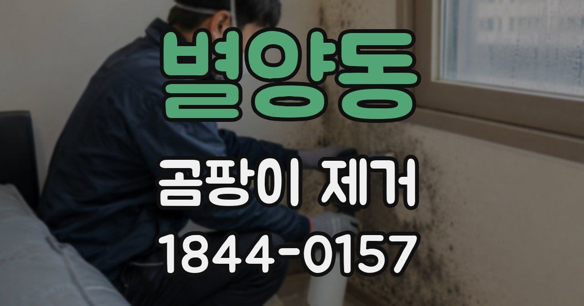 별양동 곰팡이 제거